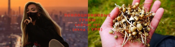 бошки Инсар