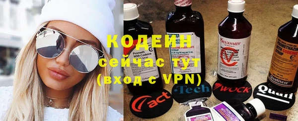 apvp Каменногорск
