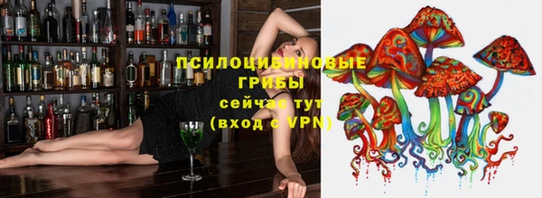 apvp Каменногорск